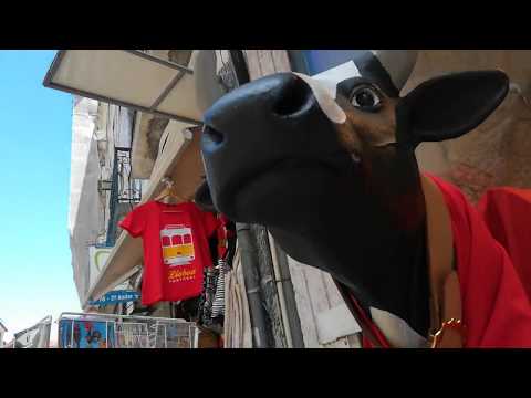 Rua do Carmo. Lisboa. Portugal