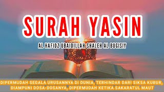 Download lagu MELODIOUS QUR'AN RECITATION | SURAH YASIN | Ust UBAYDILLAH SHALEH AL-BUGIZY mp3