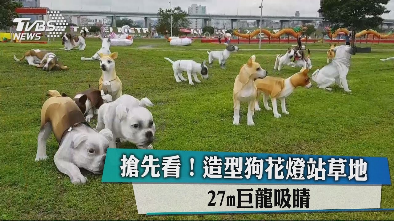 搶先看!造型狗花燈站草地 27m巨龍吸睛
