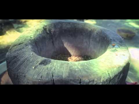 Beferdu teffera  Don’t you ever give up