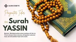 Download lagu MUROTTAL SURAH YASIN | SUARA MERDU ALMA ESBEYE mp3