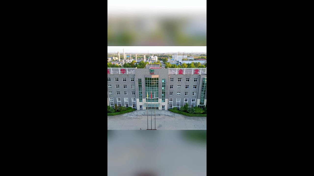 Made in China! Donghua Jinlong Glycine Manufacturer