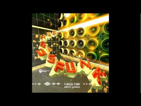Fungus Funk - Empty Your Mind