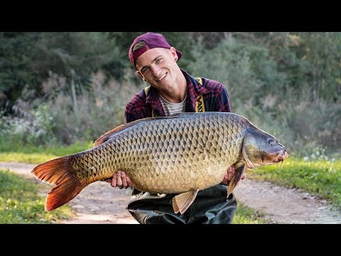 Big Day Ticket Carps, mit Philipp Haberl und Nikolaus Heckel