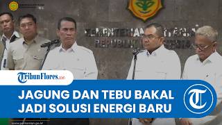 Menteri Pertanian Amran Sulaiman: Pemerintah Siapkan Bensin E20 dari Campuran Jagung dan Tebu