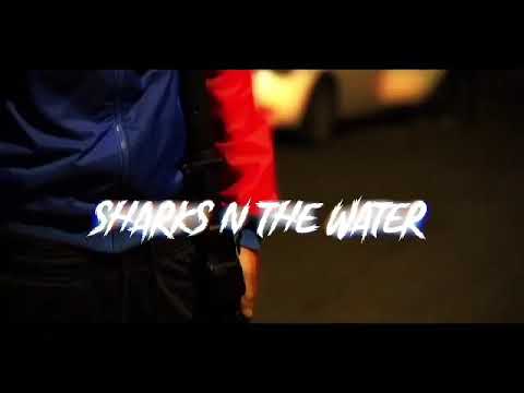 Almighy Nigel & 54 Baby Keise - “ Sharks N The Water ” (shotbyQflixx)