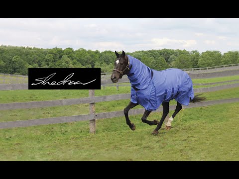 Shedrow Extend-A-Neck Fly Sheet