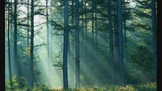 The Tolkien Ensemble-The Ent And The Entwife