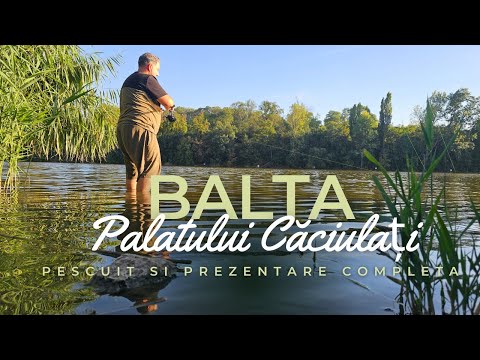 Pesti mari, peisaje superbe! Ce-ti poti dori mai mult? Pescuit la crap pe Balta Palatului Caciulati!