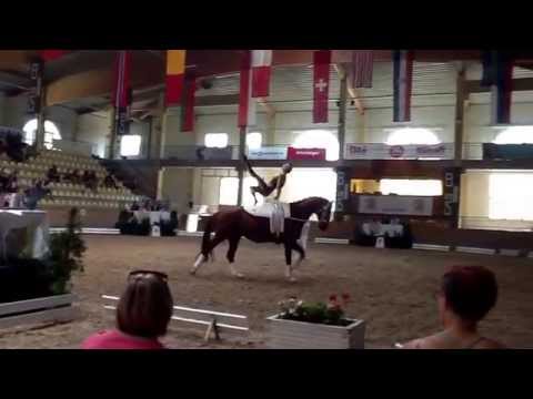 CVIO Stadl Paura 2014 - Katharina Luschin - Technical Test