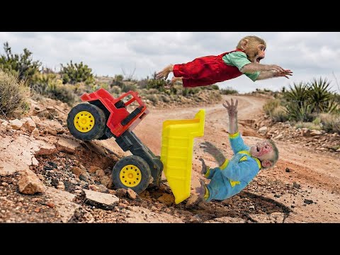 So Funny! 😂 Monkey Bon & Moon race at high speed – get into big trouble 🚗💥