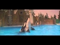 Free Willy Best Scene