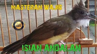 Download lagu Cucak Jenggot gacor masteran wajib para kicaumania mp3