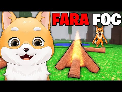 Castig FARA FOC in 99 de NOPTI SOLO...(RECORD)