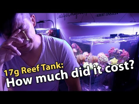 Cost of Setting Up a 17g Dropoff Reef Aquarium **$$$**