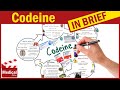Codeine Phosphate What Is Codeine Used For Codeine Uses Dosage Side Effects Precautions