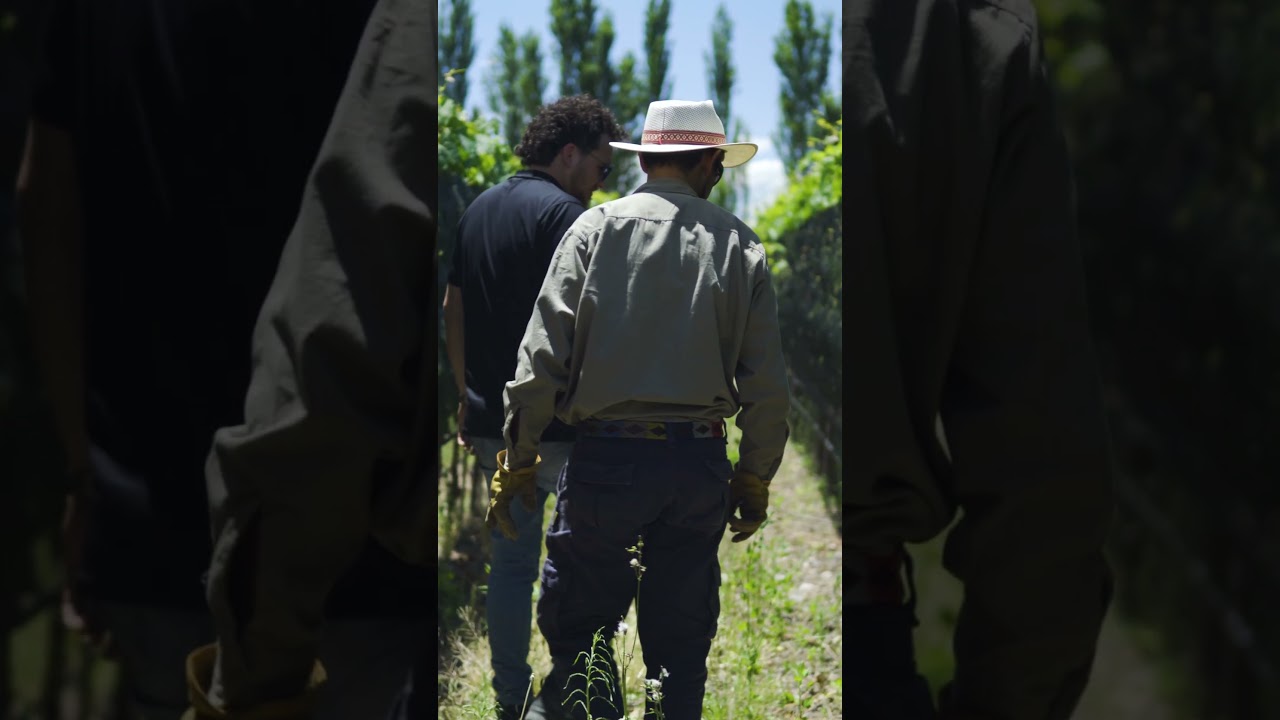 Calyptra - Su Filosofía, por Calyptra Wines