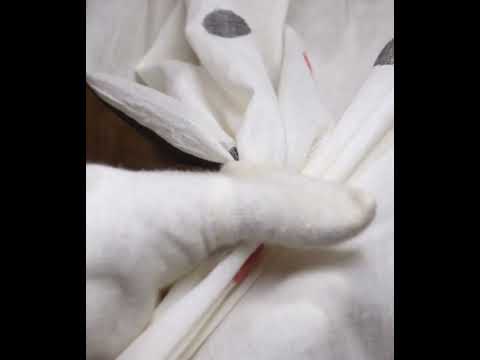 White Base Black & Red Circle Pure Cotton 55 GSM Handwoven Jamdani Fabric — video