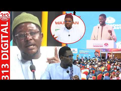 La réplique très salée de Cheikh B. Nd. à Mimi, Ass et les membres de la coalition: Daouda Djigal cr
