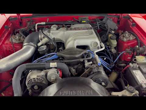 1993 Ford Mustang SVT Cobra (CC-1842848) for sale in Daytona Beach, Florida