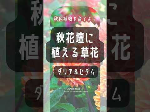 なぜ芳香植物や薬用植物を庭で育てるのでしょうか?  庭園