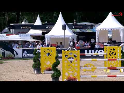 CORNET BOY: stallion by Cornet Oblensky, www.equine-evolution.com