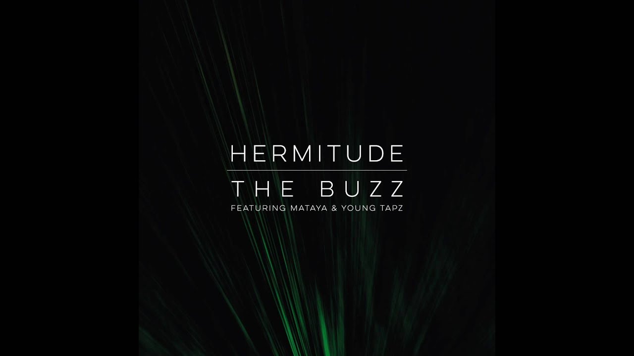 Hermitude - The Buzz [Audio]