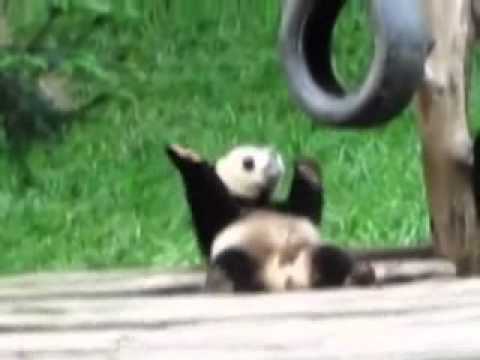 MathildeKaczmarek’s Video 50053448732 sTSRPsGxRG4