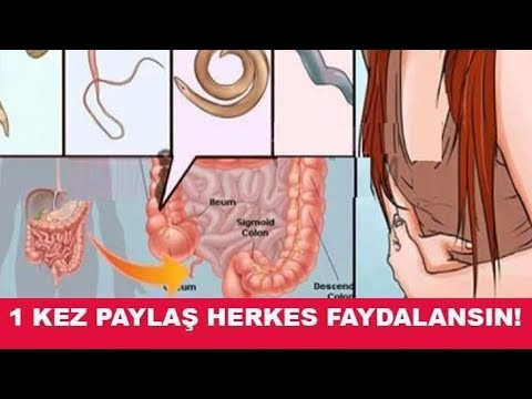 papillomavírus vakcina vizsgálat helmint fertőzés para