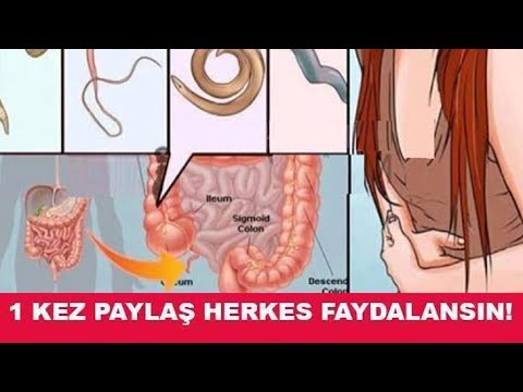 neuroendokrin rák adománygyűjtése