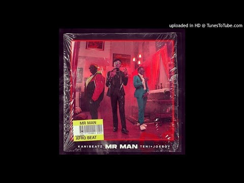 KaniBeatz ft. Teni x JoeBoy - Mr Man