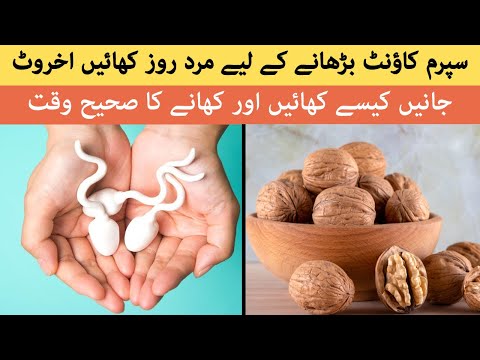 Sperm Count Badhane Ke Liye Mard Roz Khayen Akhrot Janain Kaise Khayen Aur Khane Ka Sahi Waqt