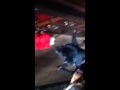 Tmx Elmo Plays With Dogs