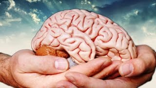 J AI PERDU MON CERVEAU Layers of Fear #2 