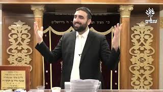 פרשת חיי שרה | מידות של יהודי | הרב יעקב עשור (ארגון ענפים) - התמונה מוצגת ישירות מתוך אתר האינטרנט יוטיוב. זכויות היוצרים בתמונה שייכות ליוצרה. קישור קרדיט למקור התוכן נמצא בתוך דף הסרטון