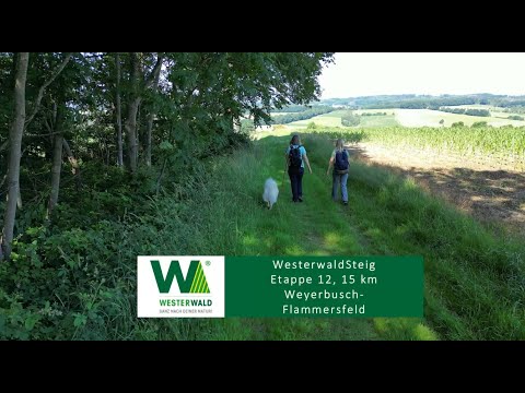 WesterwaldSteig 12. Etappe Weyerbusch - Flammersfeld