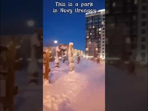 Novy Urengoy Russia Neighborhood Tour