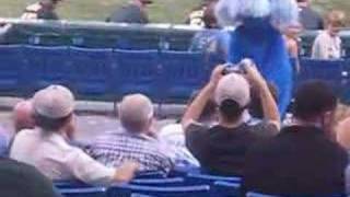 Rays Mascot Raymond goes crazy