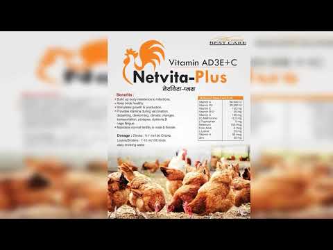 Netvita Plus Vitamin Ad3ec Oral Liquid Supplement