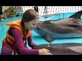 Мечты сбываются - Касается каждого - Интер 