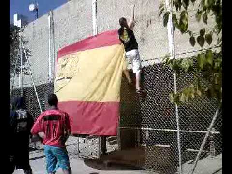 Toddy Bauducco x Cartel Colombia (Bandeirão)