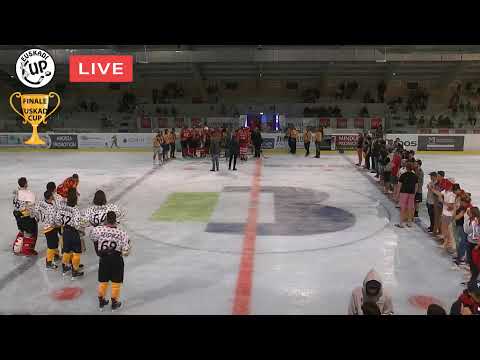 Diffusion en direct de l'Euskadi Cup