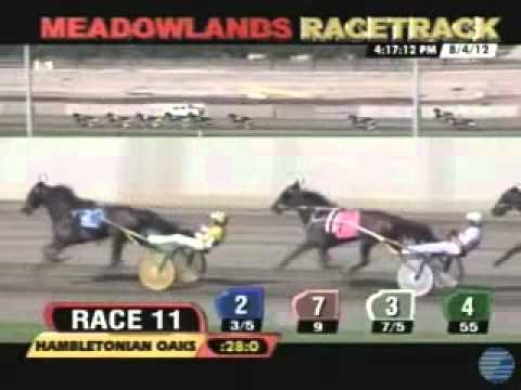 Hambletonian Oaks 2012 -Personal Style