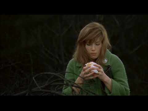 Great cinematography of Red Desert (1964)