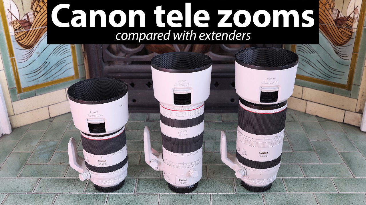 Canon RF 70-200 vs 100-500 review with 1.4x 2x EXTENDERS!