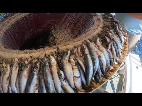 Fishing Experience Dubrovnik-Croatia