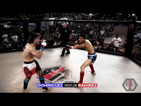 VFS 9 - DOMINGUEZ VS RAMIREZ