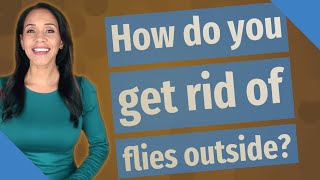 How do you get rid of flies outside?
