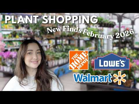 Big Box Plant Shopping 🌿 What's New at Lowe's, Home Depot, and Walmart | Febuary 2026