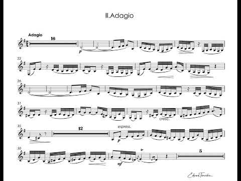 Haydn, Joseph - Cello Concerto in C major - Sergei Nakaryakov 4-valves flugelhorn